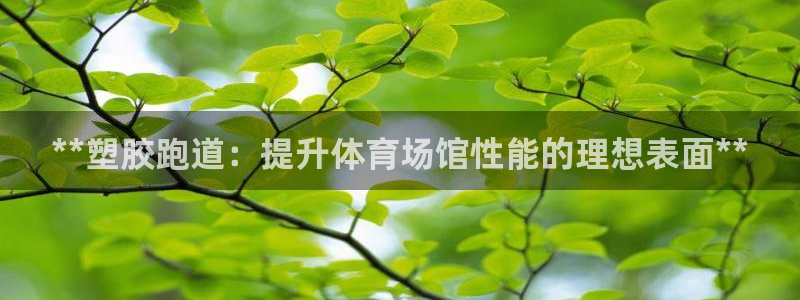 谈球吧app官网下载：**塑胶跑道：提升体育场馆性能