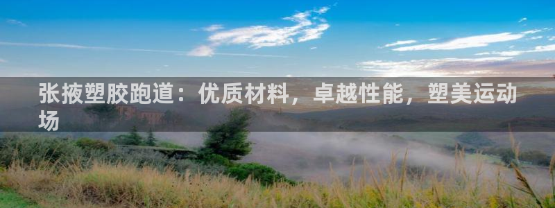 谈球吧打不开了：张掖塑胶跑道：优质材料，卓越性能，塑美运动
场