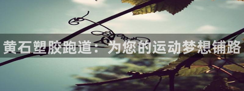 谈球吧平台正规吗可信吗知乎：黄石塑胶跑道：为您的运动