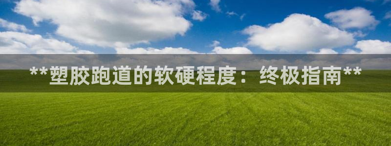 谈球吧平台正规吗可靠吗安全吗：**塑胶跑道的软硬程度：终极指南**