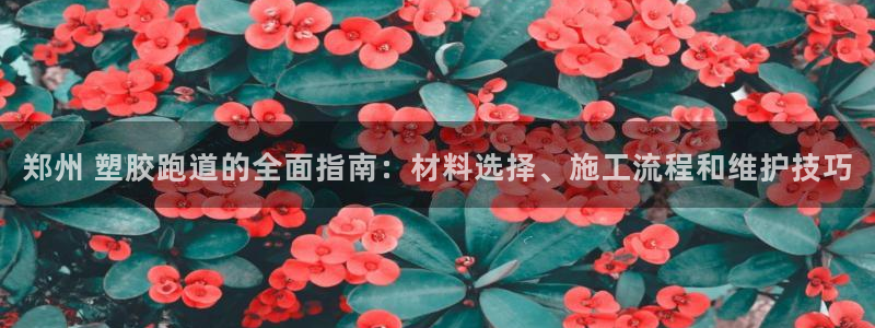 谈球吧网页版在线入口：郑州 塑胶跑道的全面指南：材料