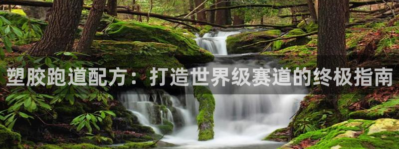 谈球吧平台app下载网址：塑胶跑道配方：打造世界级赛