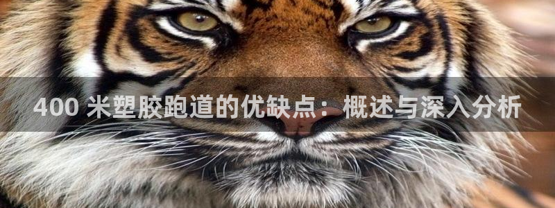 谈球吧app下载：400 米塑胶跑道的优缺点：概述与