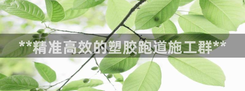 谈球吧怎么样：**精准高效的塑胶跑道施工群**