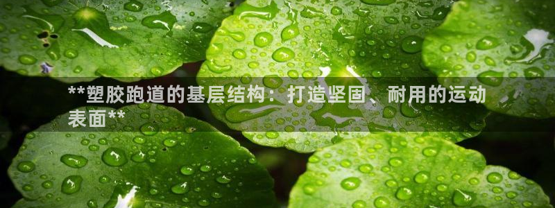 谈球吧官网在线入口手机版免费下载：**塑胶跑道的基层