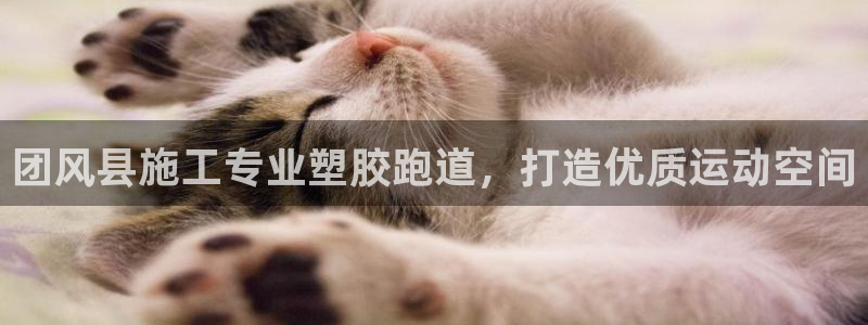 谈球吧的聊天软件叫什么来着：团风县施工专业塑胶跑道，打造优质运动空间