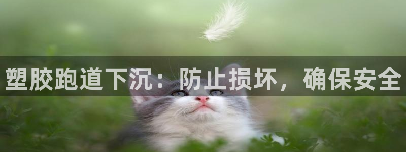 谈球吧登录：塑胶跑道下沉：防止损坏，确保安全