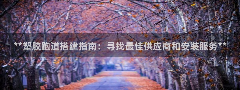 谈球吧下载：**塑胶跑道搭建指南：寻找最佳供应商和安装服务**