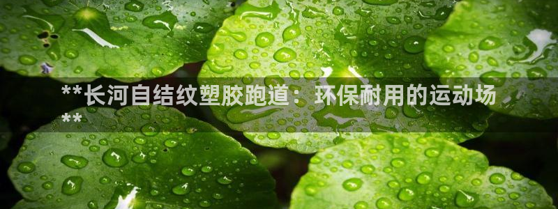谈球吧官方网站：**长河自结纹塑胶跑道：环保耐用的运动场
**
