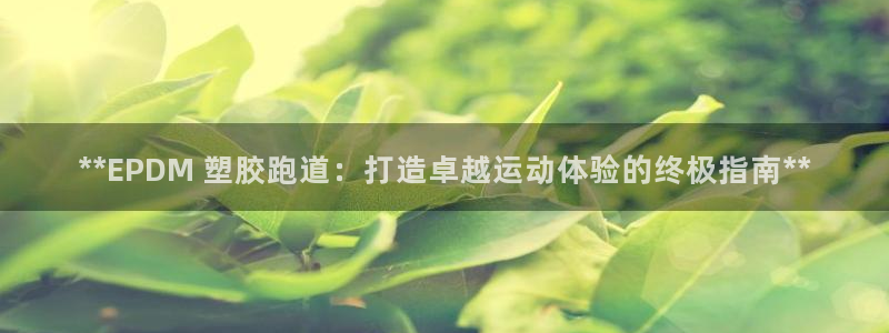 谈球吧在线登录免费观看：**EPDM 塑胶跑道：打造卓越运动体验的终极指南**