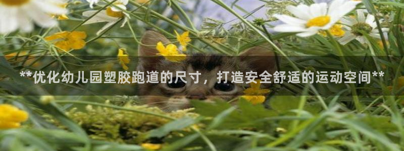 谈球吧体育在线：**优化幼儿园塑胶跑道的尺寸，打造安全舒适的运动空间**