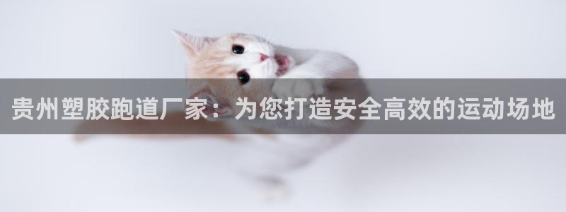 谈球吧体育app下载中心官方网站：贵州塑胶跑道厂家：为您打造安全高效的运动场地