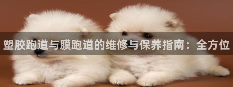 谈球吧能提现不
