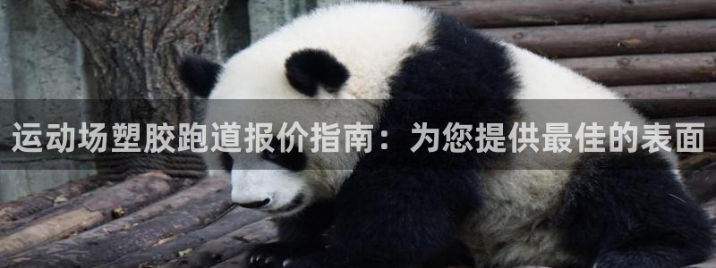 谈球吧与普通平台对比：运动场塑胶跑道报价指南：为您提供最佳的表面