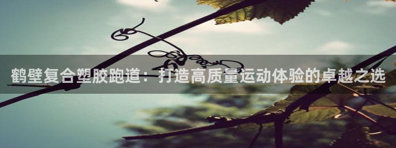 谈球吧买球提现：鹤壁复合塑胶跑道：打造高质量运动体验的卓越之选