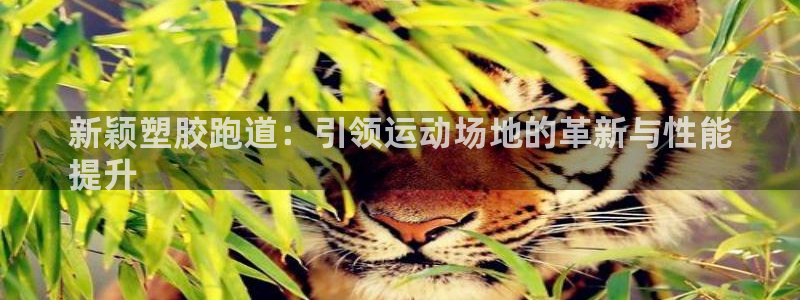 谈球吧是正规平台吗安全吗：新颖塑胶跑道：引领运动场地的革新与性能
提升