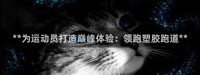 谈球吧平台黑吗?：**为运动员打造巅峰体验：领跑塑胶跑道**