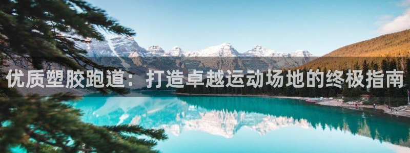 谈球吧买球提现：优质塑胶跑道：打造卓越运动场地的终极指南