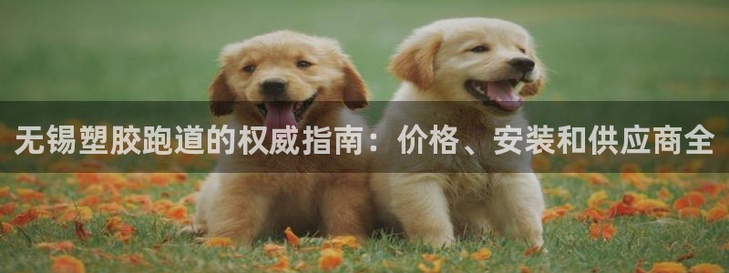 谈球吧在线登陆：无锡塑胶跑道的权威指南：价格、安装和供应商全