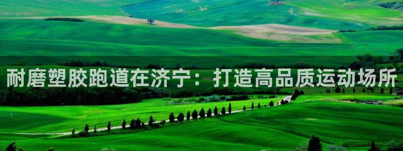 谈球吧平台：耐磨塑胶跑道在济宁：打造高品质运动场所