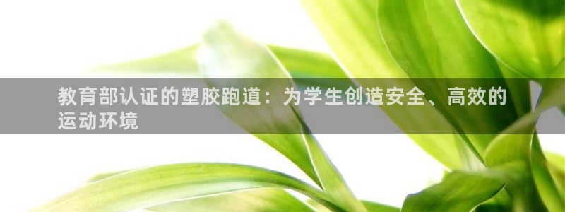 谈球吧app官网：教育部认证的塑胶跑道：为学生创造安