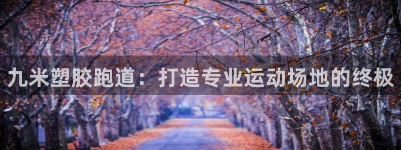 谈球吧论坛：九米塑胶跑道：打造专业运动场地的终极