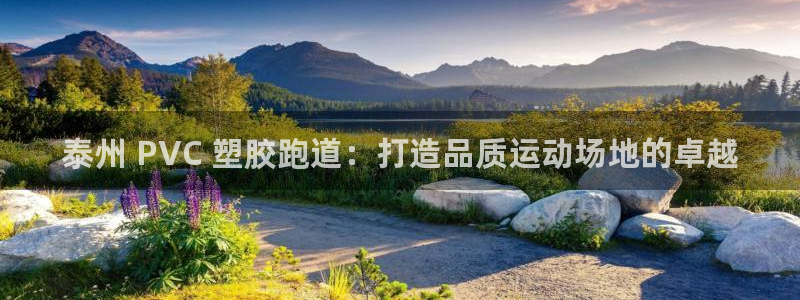 谈球吧体育综合：泰州 PVC 塑胶跑道：打造品质运动场地的卓越