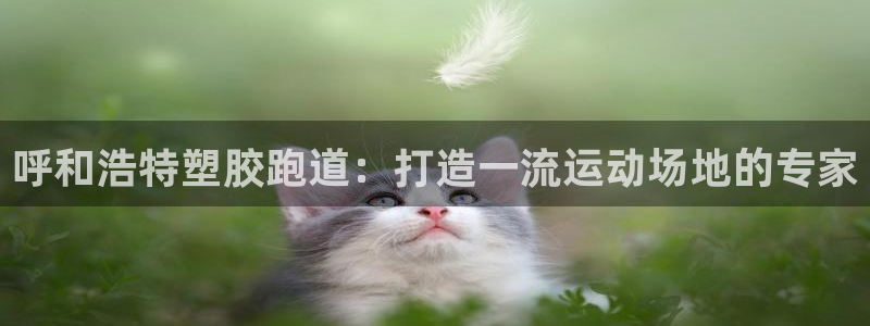 谈球吧体育app下载官网苹果手机：呼和浩特塑胶跑道：打造一流运动场地的专家