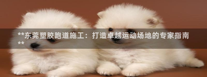 谈球吧平台app下载网址：**东莞塑胶跑道施工：打造卓越运动场地的专家指南
**