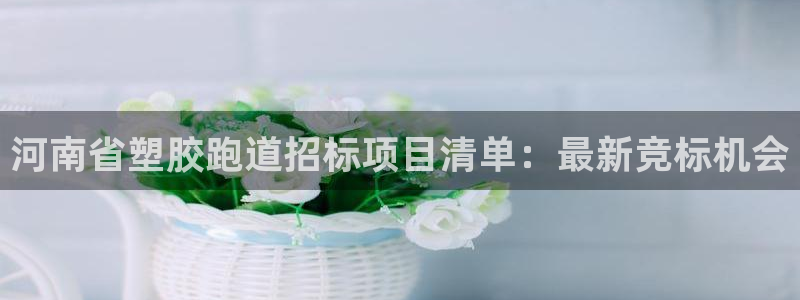 谈球吧官网app下载：河南省塑胶跑道招标项目清单：最