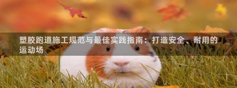 谈球吧官网在线入口免费观看高清版：塑胶跑道施工规范与最佳实践指南：打造安全、耐用的
运动场