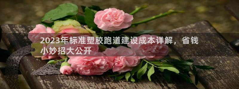 谈球吧(中国)官方网站：2023年标准塑胶跑道建设成本详解，省钱
小妙招大公开