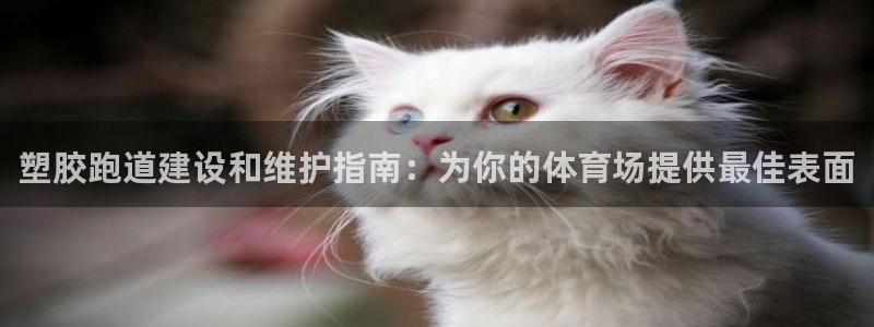 谈球吧官网下载：塑胶跑道建设和维护指南：为你的体育场提供最佳表面