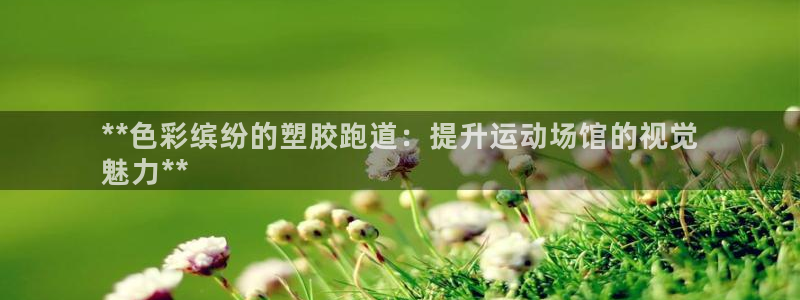 谈球吧属于哪个