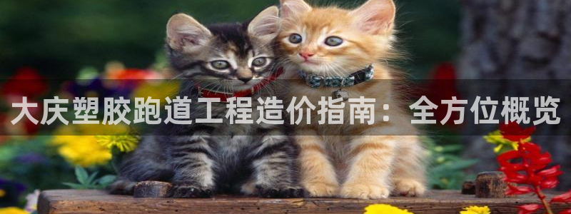 谈球吧官网在线入口免费观看高清版：大庆塑胶跑道工程造价指南：全方位概览