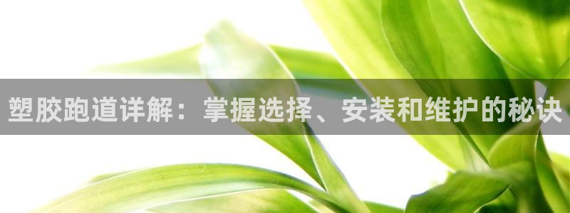 谈球吧体育综合：塑胶跑道详解：掌握选择、安装和维护的秘诀