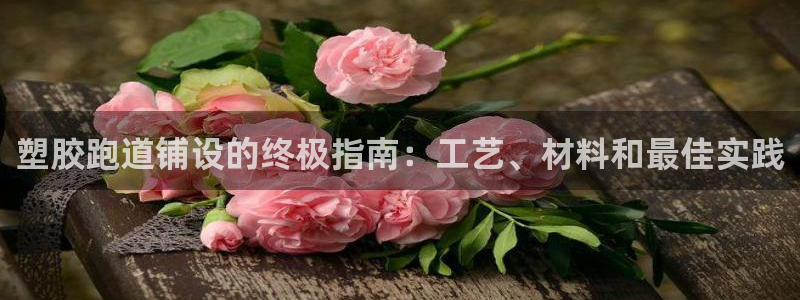 谈球吧网页登陆：塑胶跑道铺设的终极指南：工艺、材料和最佳实践