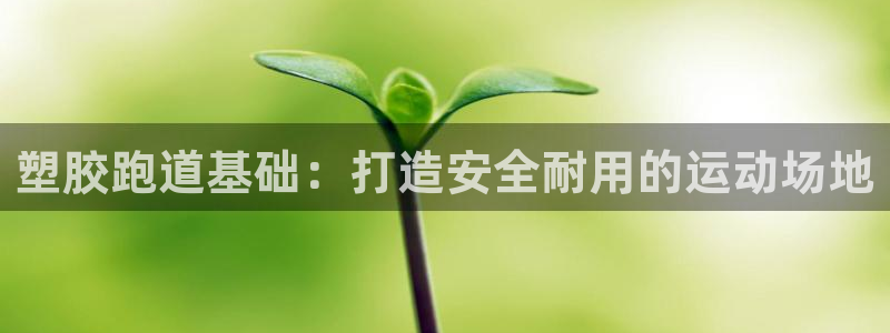 谈球吧app官网下载安卓：塑胶跑道基础：打造安全耐用的运动场地