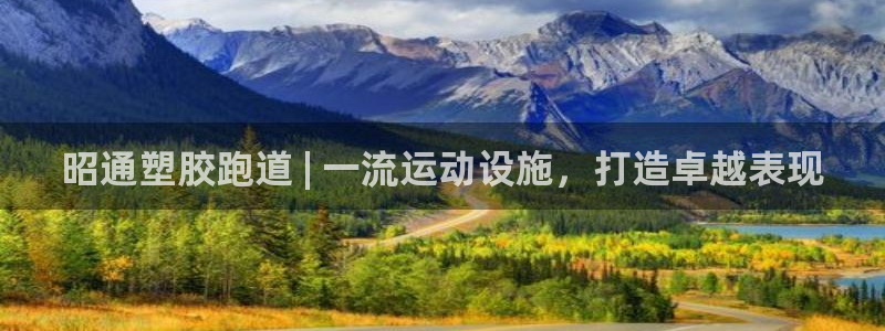 谈球吧体育ios下载：昭通塑胶跑道 | 一流运动设施，打造卓越表现