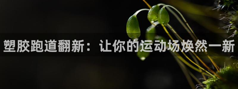 谈球吧是黑台子吗：塑胶跑道翻新：让你的运动场焕然一新