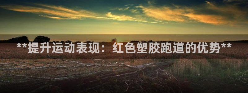 谈球吧登录地址：**提升运动表现：红色塑胶跑道的优势**