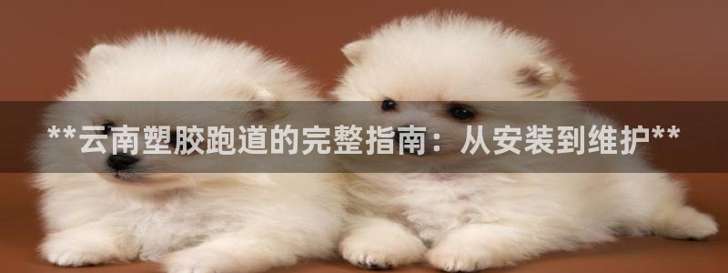 谈球吧平台正规吗可靠吗安全吗：**云南塑胶跑道的完整指南：从安装到维护**