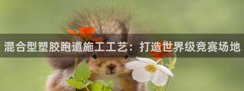谈球吧属于哪个旗下的品牌：混合型塑胶跑道施工工艺：打造世界级竞赛场地