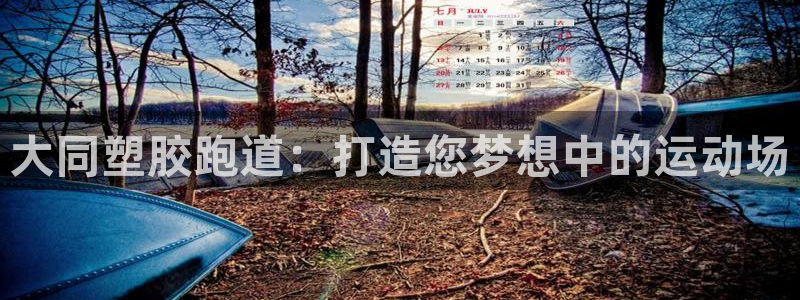 谈球吧官网在线入口免费观看视频网站：大同塑胶跑道：打造您梦想中的运动场