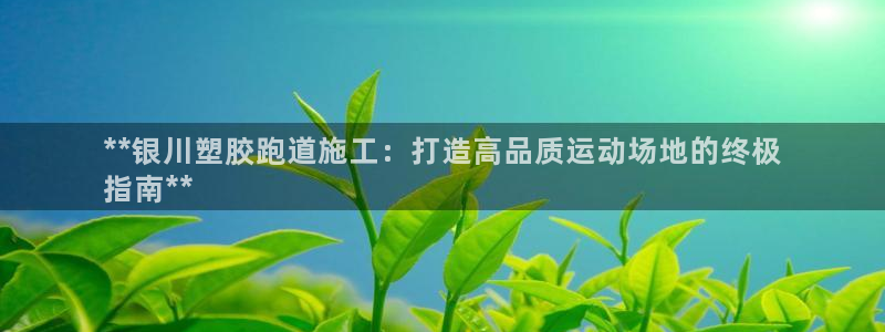 谈球吧综合官网app：**银川塑胶跑道施工：打造高品质运动场地的终极
指南**
