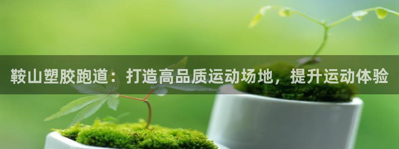 谈球吧登录地址：鞍山塑胶跑道：打造高品质运动场地，提升运动体验