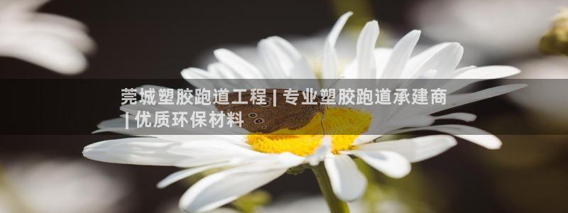 谈球吧官网在线入口手机版免费下载：莞城塑胶跑道工程 | 专业塑胶跑道承建商
 | 优质环保材料