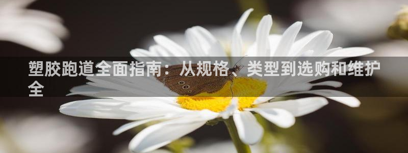 谈球吧app官网下载：塑胶跑道全面指南：从规格、类型到选购和维护
全