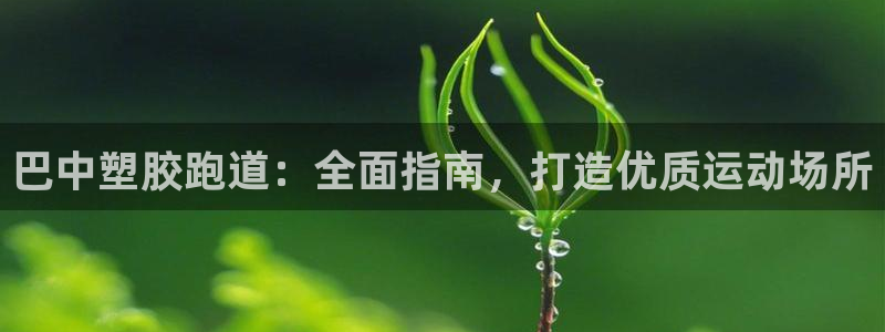谈球吧娱乐app下载官网苹果手机：巴中塑胶跑道：全面指南，打造优质运动场所