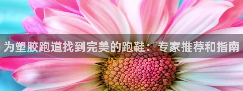 谈球吧平台app下载网址：为塑胶跑道找到完美的跑鞋：专家推荐和指南